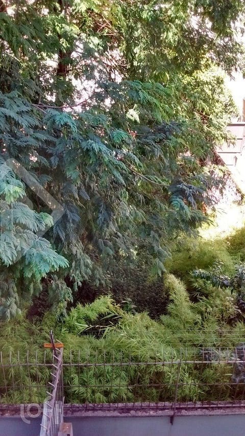 Image 11 - 233082
